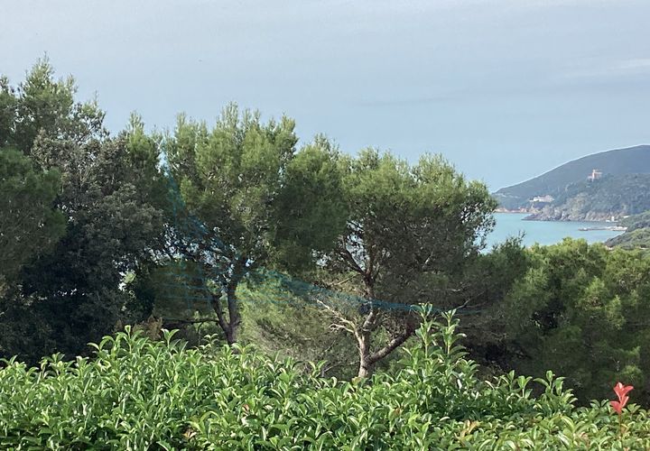Villa i Rosignano Marittimo, Livorno, Rosignano Marittimo - € 730.000 | Ref: R423 - foto 1