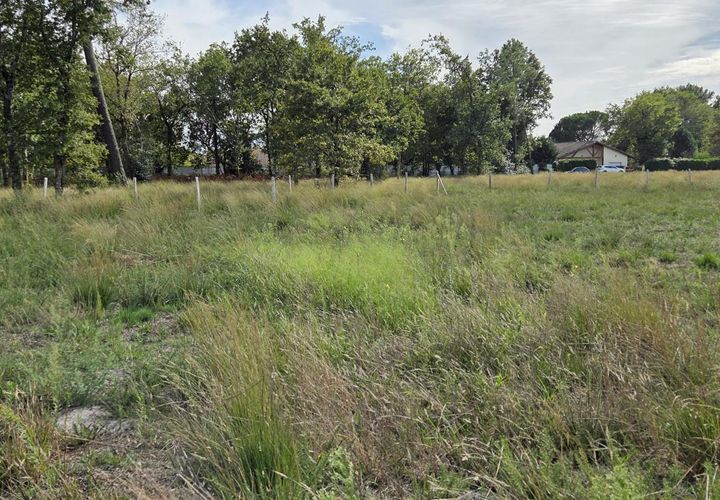 Villa i Labouheyre, Landes, Labouheyre - € 179.000 | Ref: OCA-354LABOUHT6 - foto 1