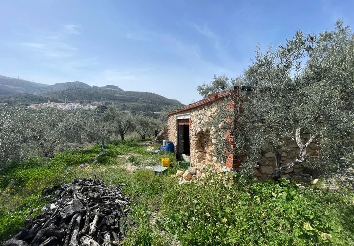 Finca i Confrides, Alicante, Confrides - € 50 000 | Ref: CC003 - foto 1