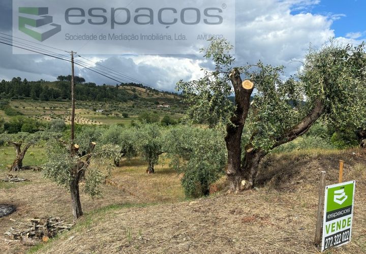 Terra a Fundao, Castelo Branco, Fundao - € 33.000 | Ref: 5740/CP - foto 1