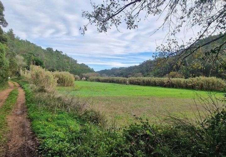 Terra a Mafra, Lisbon, Mafra - € 36.000 | Ref: 774745 - foto 1