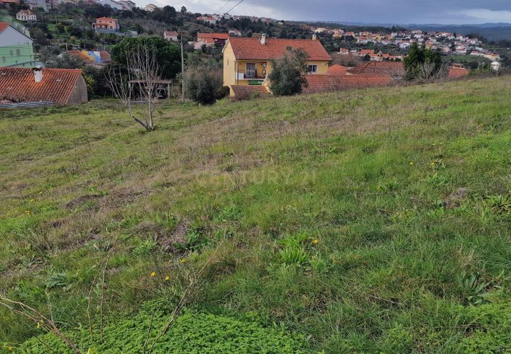 Helårsgrund i Carvalhal, Santarem, Carvalhal - € 360.000 | Ref: C0364-05576 - foto 1