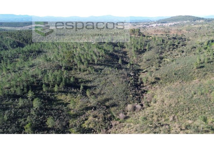 Helårsgrund i Castelo Branco, Castelo Branco, Castelo Branco - € 37.500 | Ref: 5666/EG - foto 1