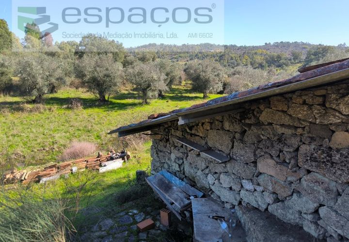 Terra a Castelo Branco, Castelo Branco, Castelo Branco - € 21.000 | Ref: 5665/EG - foto 1