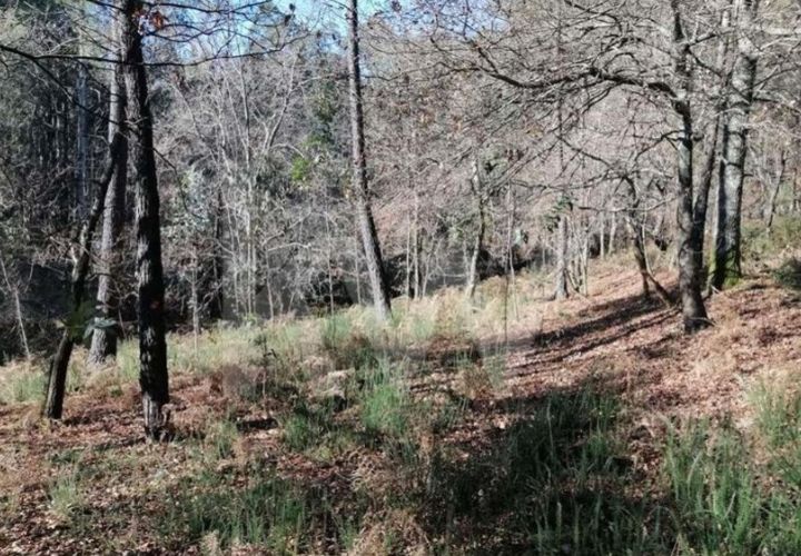 Helårsgrund i Vila Verde, Braga, Vila Verde - € 35.000 | Ref: 1214-4430 - foto 1
