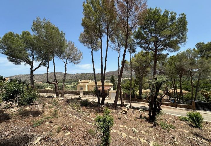Terra a Denia, Alicante, Denia - € 320.000 | Ref: xd723760 - foto 1
