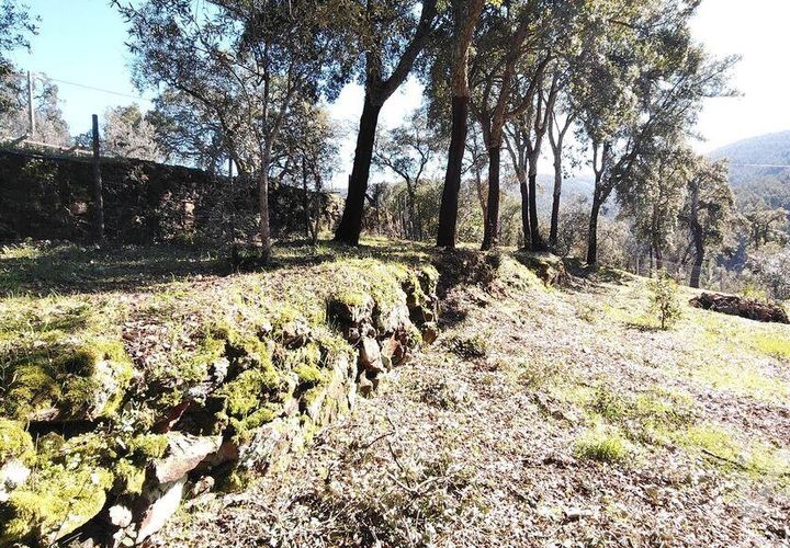 Terra a Serta, Castelo Branco, Serta - € 39.000 | Ref: 821282 - foto 1