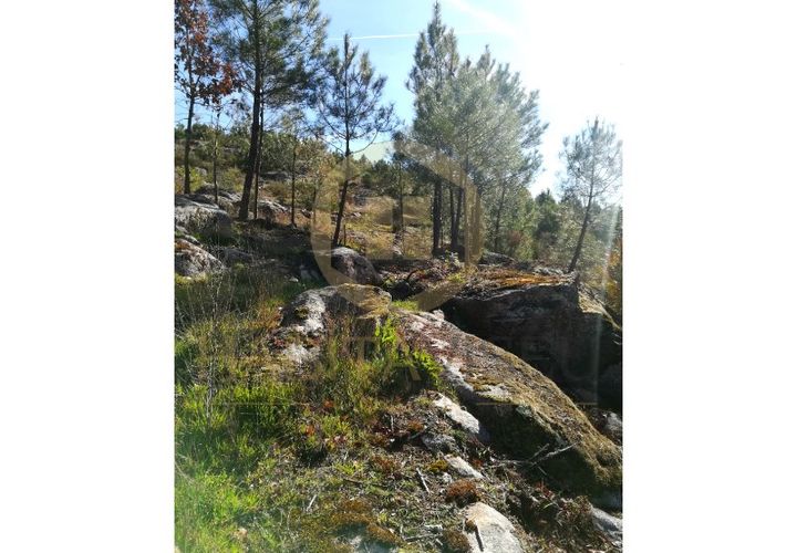 Helårsgrund i Abraveses, Viseu, Abraveses - € 55.000 | Ref: 2601-T - foto 1