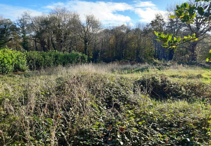 Terra a Landudec, Finistere, Landudec - € 90.100 | Ref: 2711 - foto 1