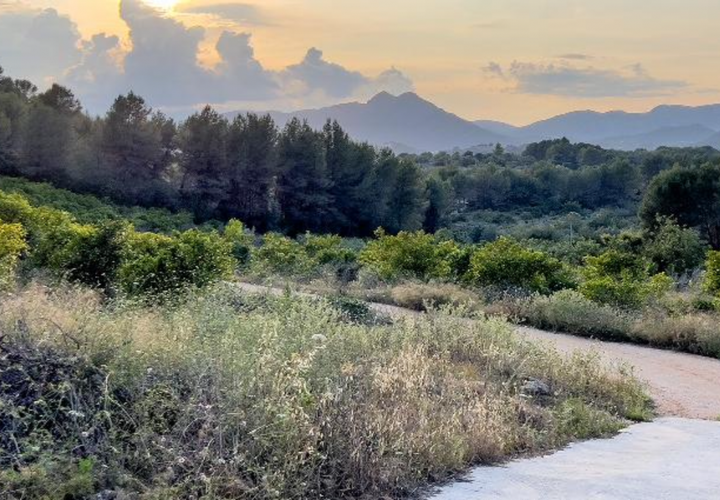 Helårsgrund i Jalon, Alicante, Jalon - € 150.000 | Ref: J-0001 - foto 1
