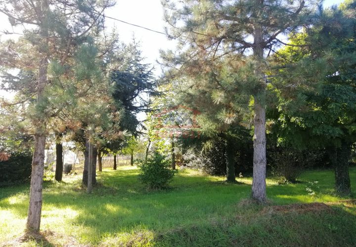 Villa a Bagnacavallo, Ravenna, Bagnacavallo - € 275.000 | Ref: VE 290 - foto 1