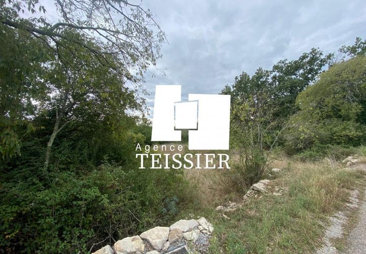 Terra a Chandolas, Ardeche, Chandolas - € 83.820 | Ref: 6317-TEISSIERLESVANS07 - foto 1