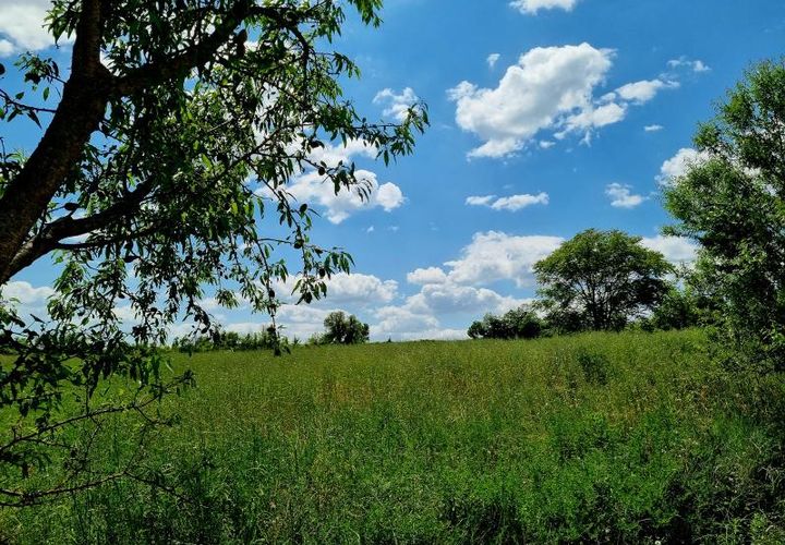 Terra a Montagnac, Herault, Montagnac - € 127.000 | Ref: 34-MTG-HB-3 - foto 1