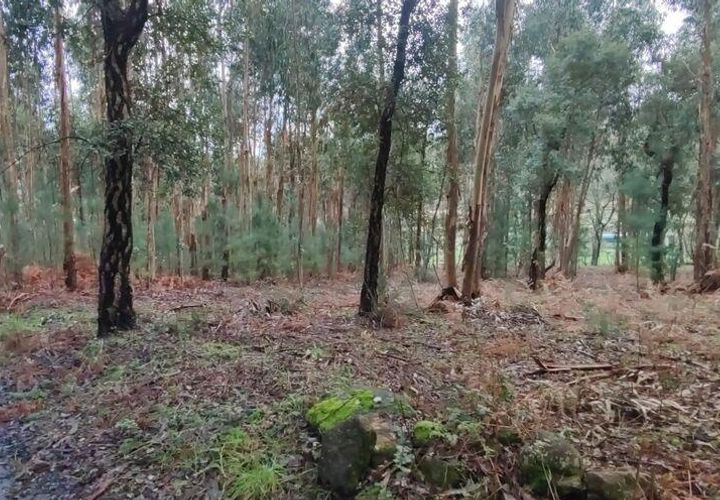 Terra a Moncao, Viana do Castelo, Moncao - € 56.500 | Ref: 794104 - foto 1