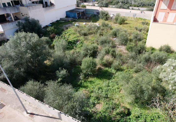 Terra a Muro, Mallorca, Muro - € 235.000 | Ref: 04SBAVDL363/3010 - foto 1