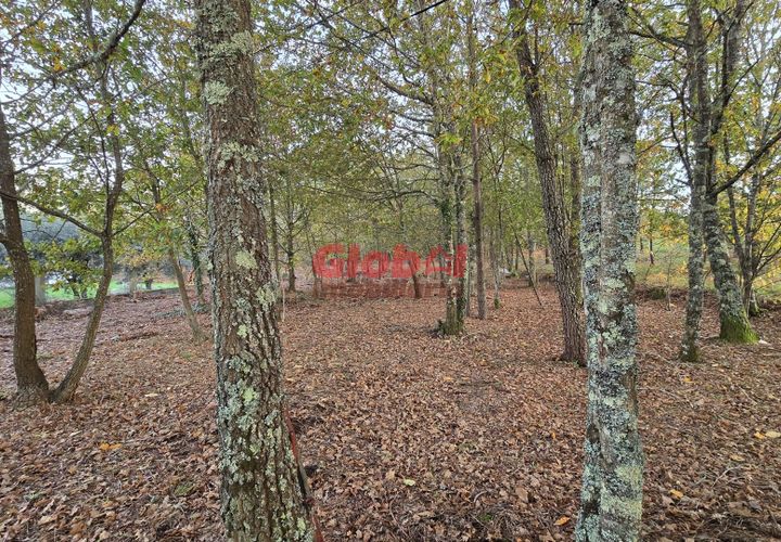 Helårsgrund i Viseu, Viseu, Viseu - € 42.500 | Ref: 189262033 - foto 1