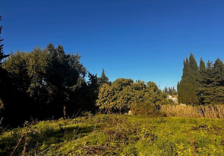 Terra a Meynes, Gard, Meynes - € 125.000 | Ref: S1TMJ2 - foto 1