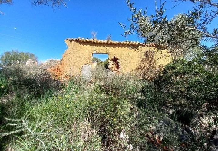Helårsgrund i Tunes, Faro, Tunes - € 350.000 | Ref: 0006-25 - foto 1