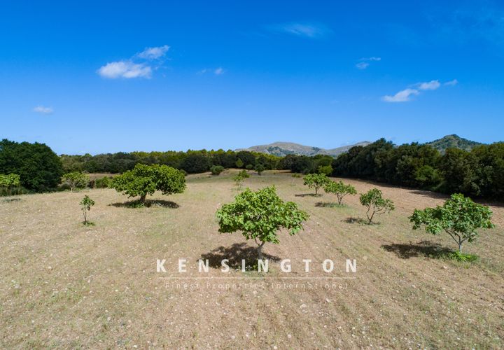 Terra a Arta, Mallorca, Arta - € 378.000 | Ref: KPNO387 - foto 1