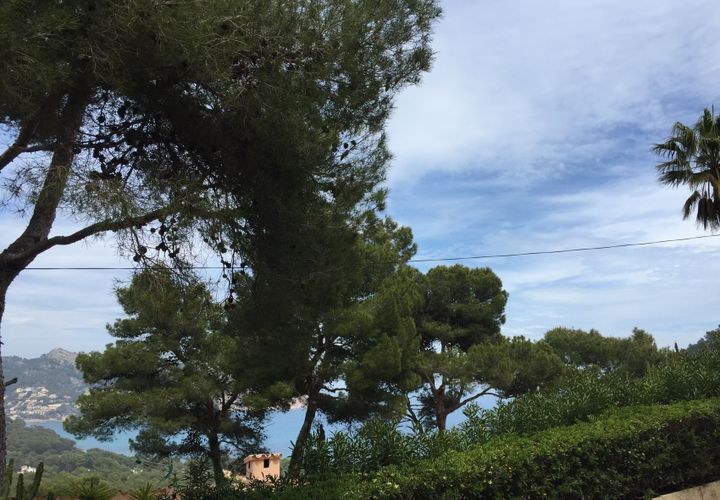 Terra a Canyamel, Mallorca, Canyamel - € 150.000 | Ref: KPNO942 - foto 1