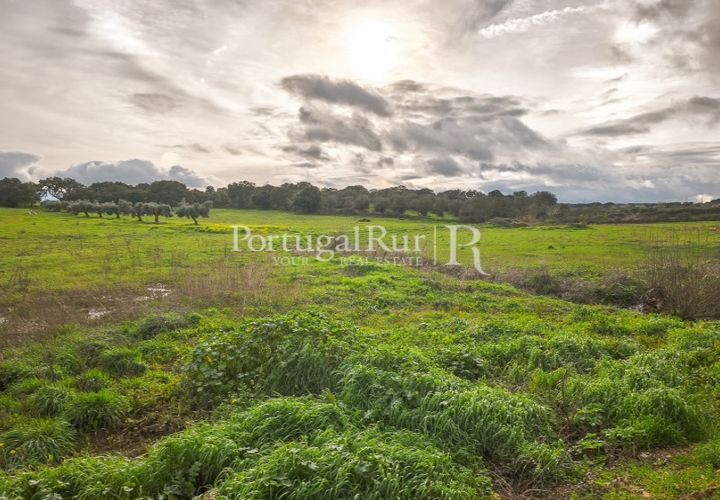 Helårsgrund i Elvas, Portalegre, Elvas - € 160.000 | Ref: JF718 - foto 1