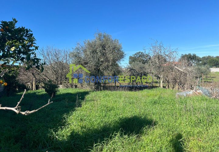 Helårsgrund i Castelo Branco, Castelo Branco, Castelo Branco - € 31.500 | Ref: 26015 - foto 1