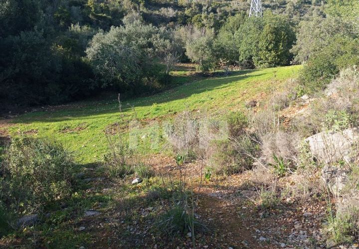 Helårsgrund i Estoi, Faro, Estoi - € 55.000 | Ref: 170260022 - foto 1