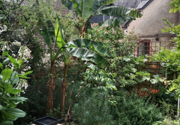 Villa a Josselin, Morbihan, Josselin - € 229.900 | Ref: 11949j - foto 1