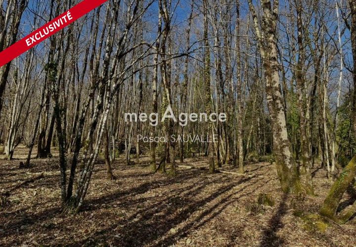Helårsgrund i Chancelade, Dordogne, Chancelade - € 48.000 | Ref: 199157 - foto 1