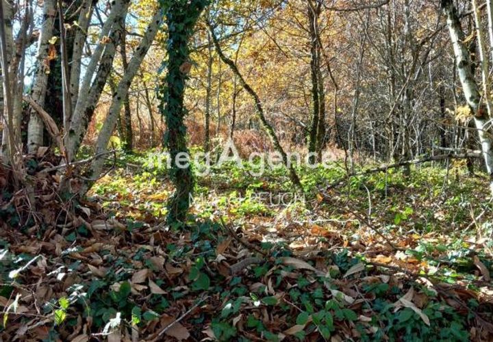 Terra a Le Chastang, Correze, Le Chastang - € 24.000 | Ref: 199208 - foto 1
