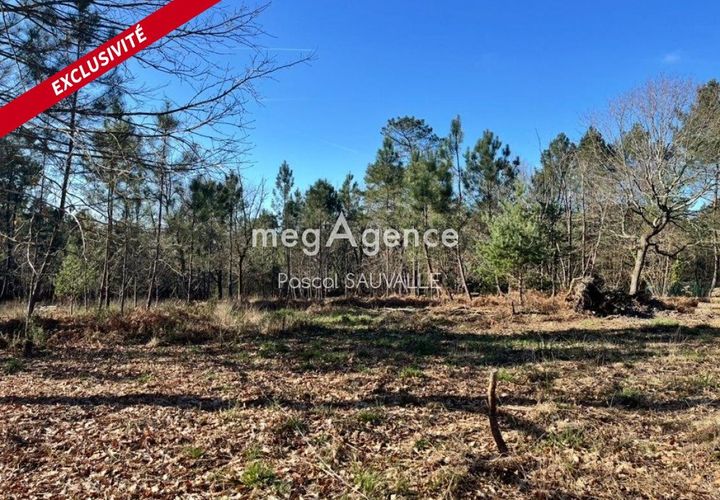 Helårsgrund i Chancelade, Dordogne, Chancelade - € 58.000 | Ref: 199156 - foto 1