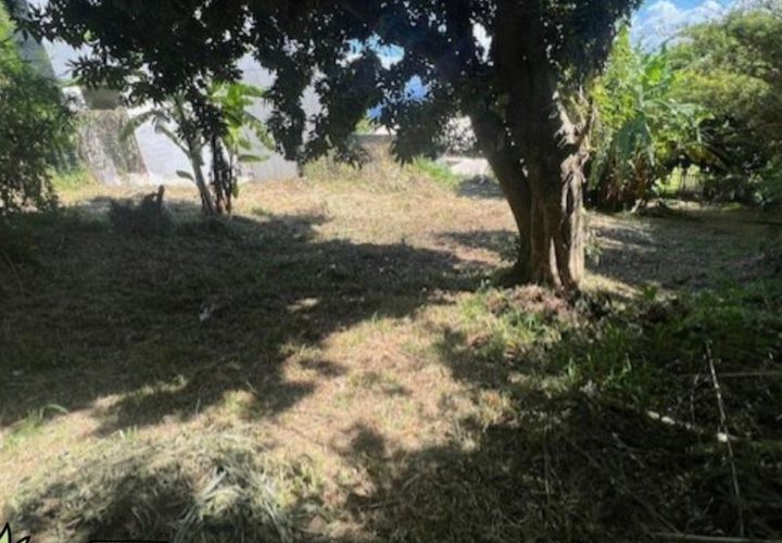 Terra a Saint-Denis, La Reunion, Saint-Denis - € 192.500 | Ref: TERSTFR - foto 1