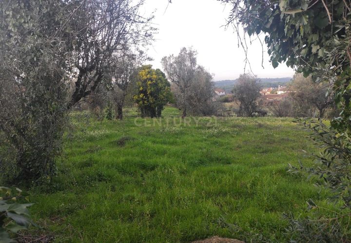 Helårsgrund i Viseu, Viseu, Viseu - € 65.000 | Ref: C0203-02592 - foto 1