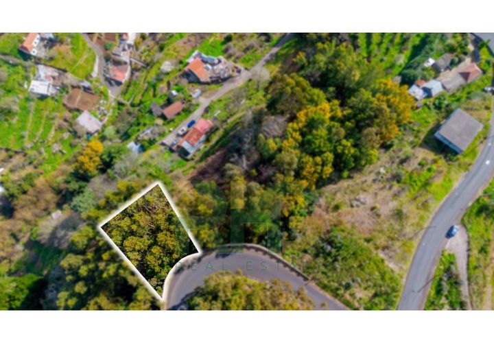 Terra a Camacha, Madeira, Camacha - € 27.500 | Ref: RHG26009 - foto 1