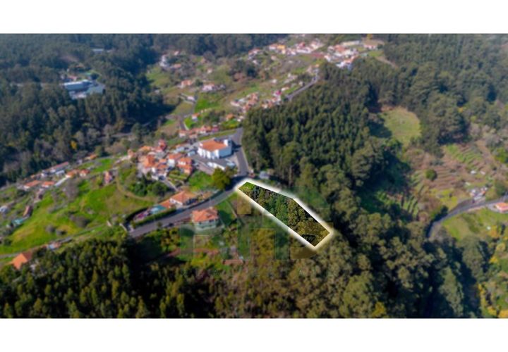 Terra a Camacha, Madeira, Camacha - € 27.500 | Ref: RHG26008 - foto 1