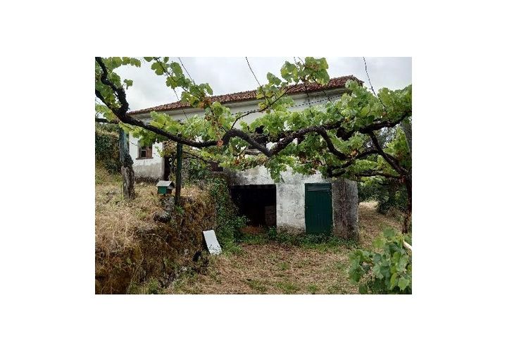 Farm i Gondufe, Viana do Castelo, Gondufe - € 170.000 | Ref: MDS3285 - foto 1