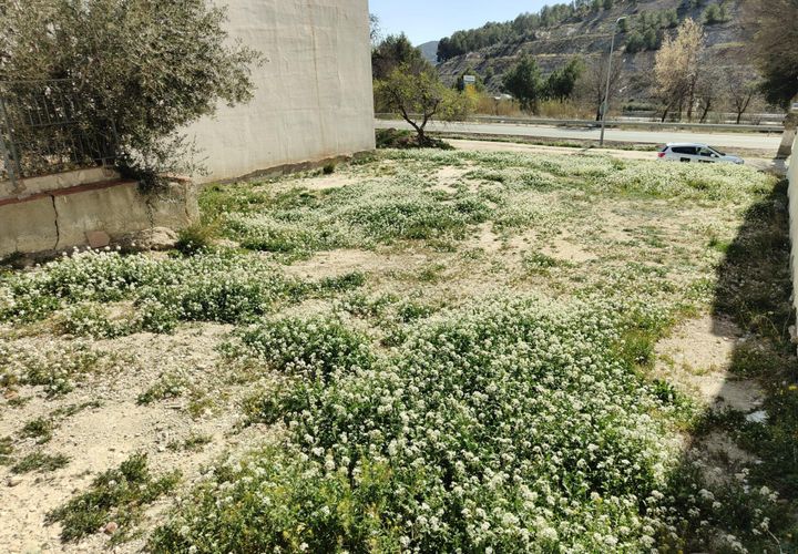 Terra a Velez-Rubio, Almeria, Velez-Rubio - € 25.900 | Ref: 0062v/10853 - foto 1