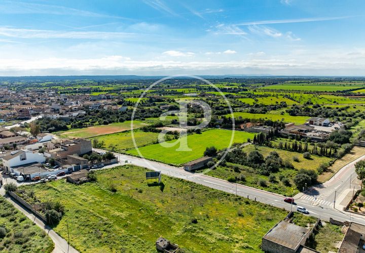Terra a Campos, Mallorca, Campos - € 530.000 | Ref: VPM2603002 - foto 1