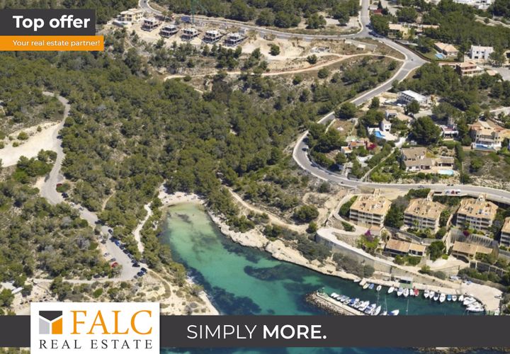 Terra a Sol De Mallorca, Mallorca, Sol De Mallorca - € 4.250.000 | Ref: FALC-Nep-55388 - foto 1