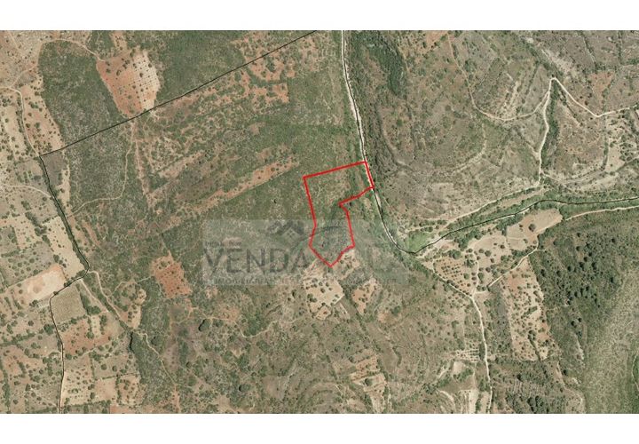 Helårsgrund i Paderne, Faro, Paderne - € 12.900 | Ref: R65027 - foto 1