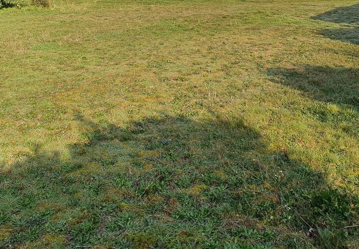 Tomt i Hourtin, Gironde, Hourtin - € 103 000 | Ref: ac2 - foto 1