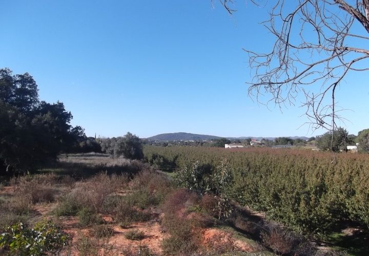 Ruinere i Moncarapacho, Faro, Moncarapacho - € 250.000 | Ref: 581AB - foto 1