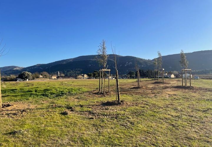 Terra a Floure, Aude, Floure - € 99.000 | Ref: FLOURE-LOT18 - foto 1