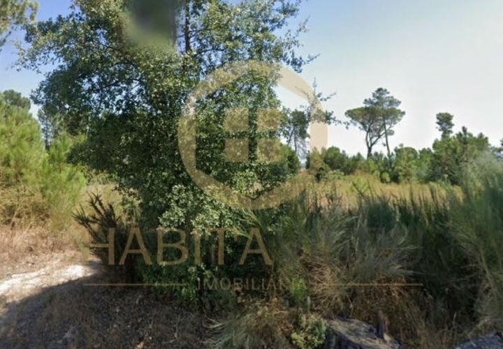 Terra a Santar e Moreira, Viseu, Santar e Moreira - € 40.000 | Ref: SÒL_2327 - foto 1