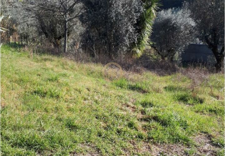 Helårsgrund i Viseu, Viseu, Viseu - € 40.000 | Ref: SÒL_2322 - foto 1