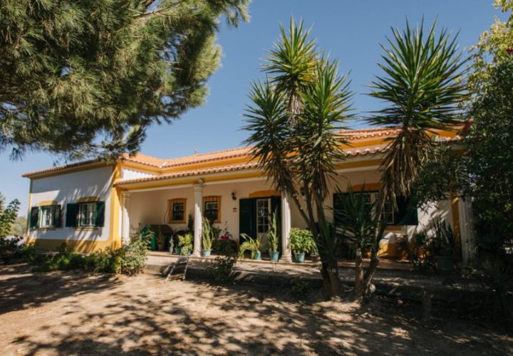 Farm i Coruche, Santarem, Coruche - € 485.000 | Ref: NOX_02 - foto 1