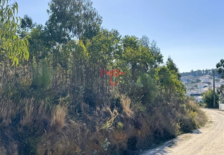 Helårsgrund i Matacaes, Lisbon, Matacaes - € 250.000 | Ref: MF007-25 - foto 1