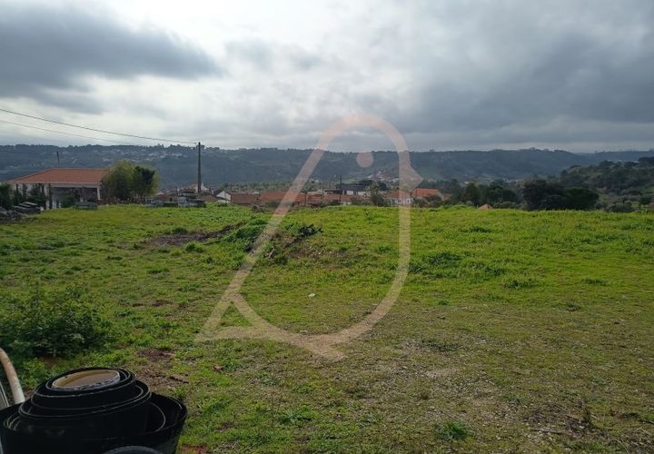 Terra a Gondemaria e Olival, Santarem, Gondemaria e Olival - € 51.000 | Ref: CV11001-380 - foto 1