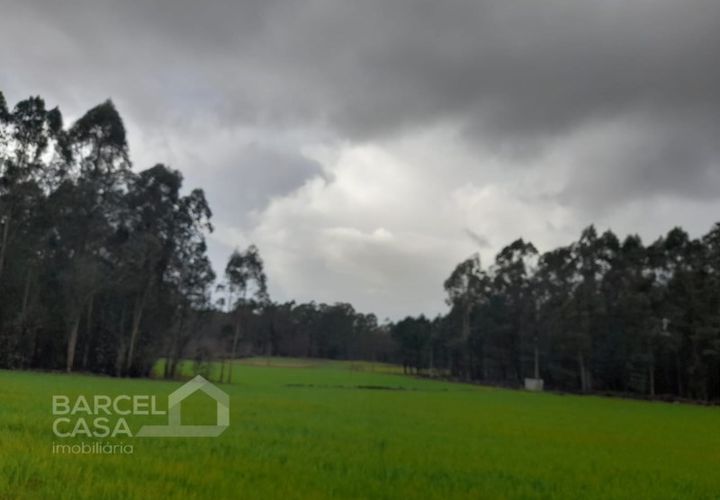 Terra a Gilmonde, Braga, Gilmonde - € 25.000 | Ref: 50/26 - foto 1