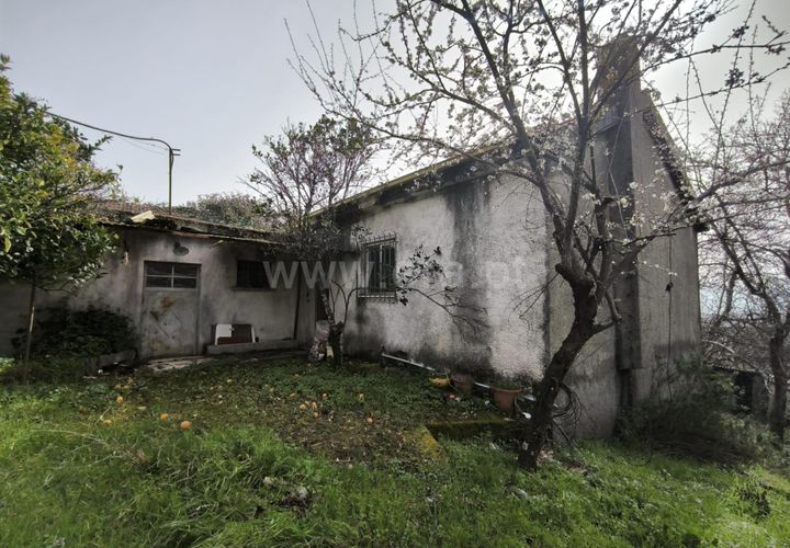 Landejendom i Mangualde, Viseu, Mangualde - € 150.000 | Ref: 389250227 - foto 1